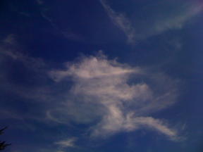 IMAGES_sky_painting_BD_2010/IMG_1589_sky_paint_happy_dance.jpg