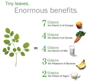 IMG_moringa_nutrients_diagram.jpg