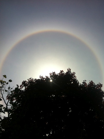 IMG_solar_halo_4-28-2014_A.jpg