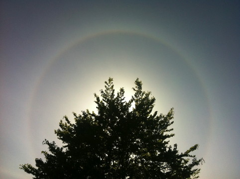IMG_solar_halo_4-28-2014_B.jpg