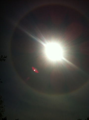 IMG_solar_halo_4-28-2014_sun1L.jpg